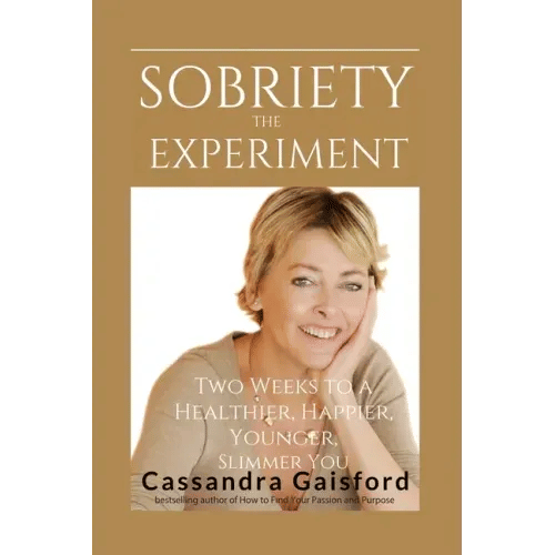 The Sobriety Experiment - Paperback