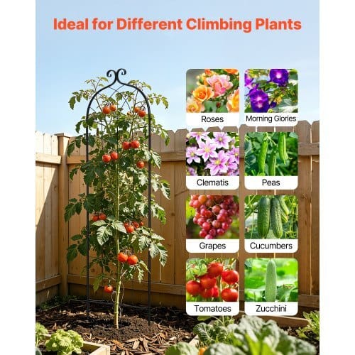Garden Trellis, 71 x 20 inch Rose Trellis, 2 Packs Garden Flower Rose Trellises with Powder-Coated Finish & Convenient Locking Design, Plant Support Trellises for Flowers, Vegetables, Roses