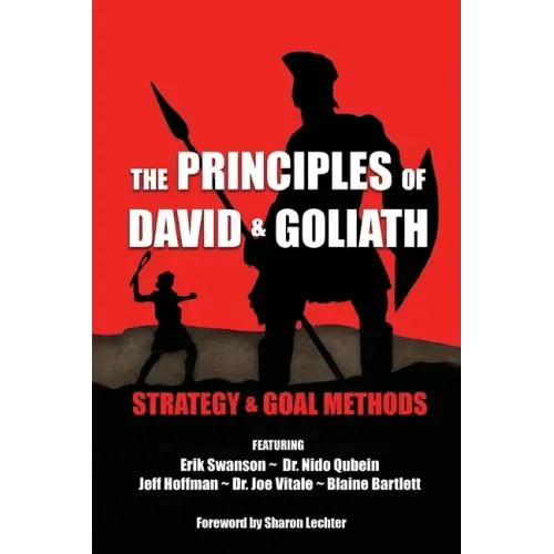 The Principles of David and Goliath Volume 2: Strategy & Goal Methods - Paperback