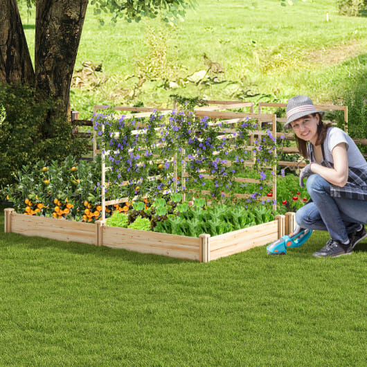 Raised Garden Bed with 2 Planter Boxes and 3 Trellis-Natural - Color: Natural