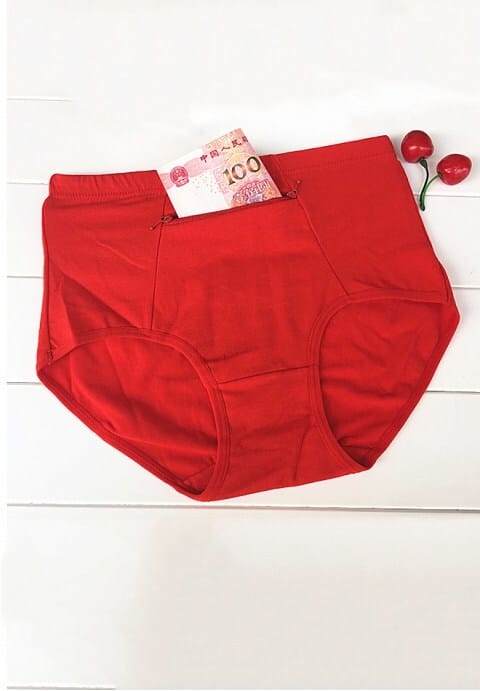 Women's Cotton High Waist Panties with Zipper Pocket