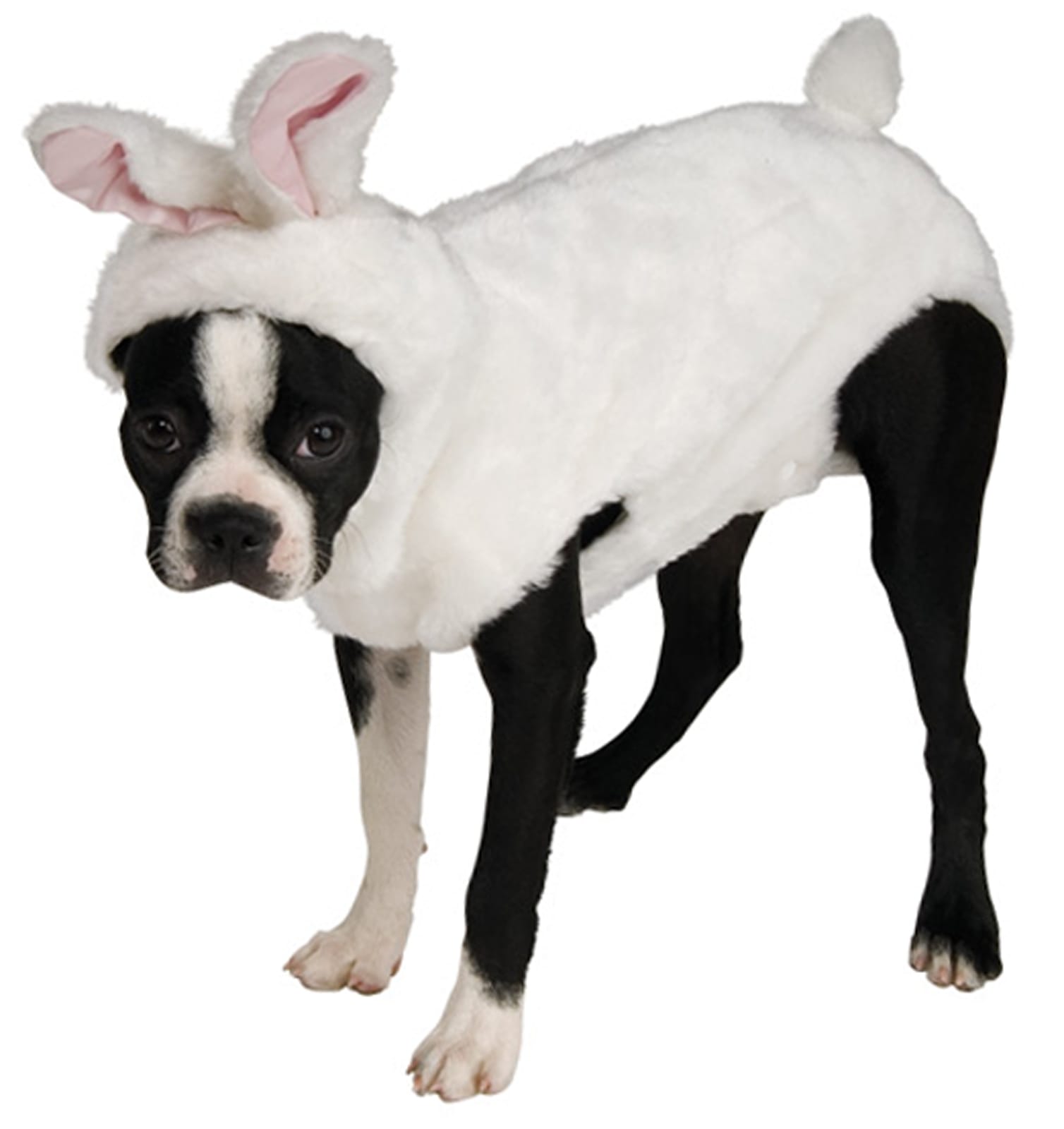 Bunny Pet Costume XLarge