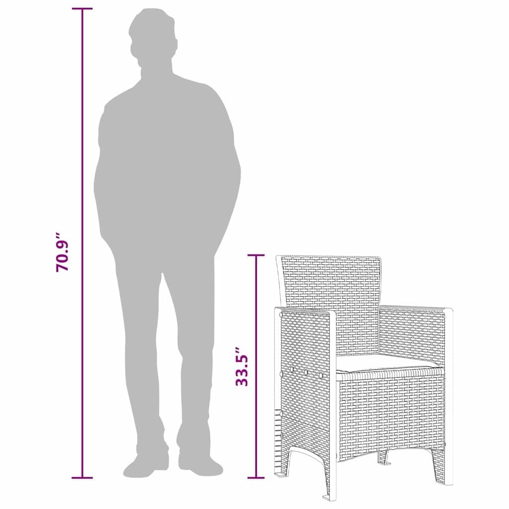 Garden Chair 2 pcs Brown Polypropylene