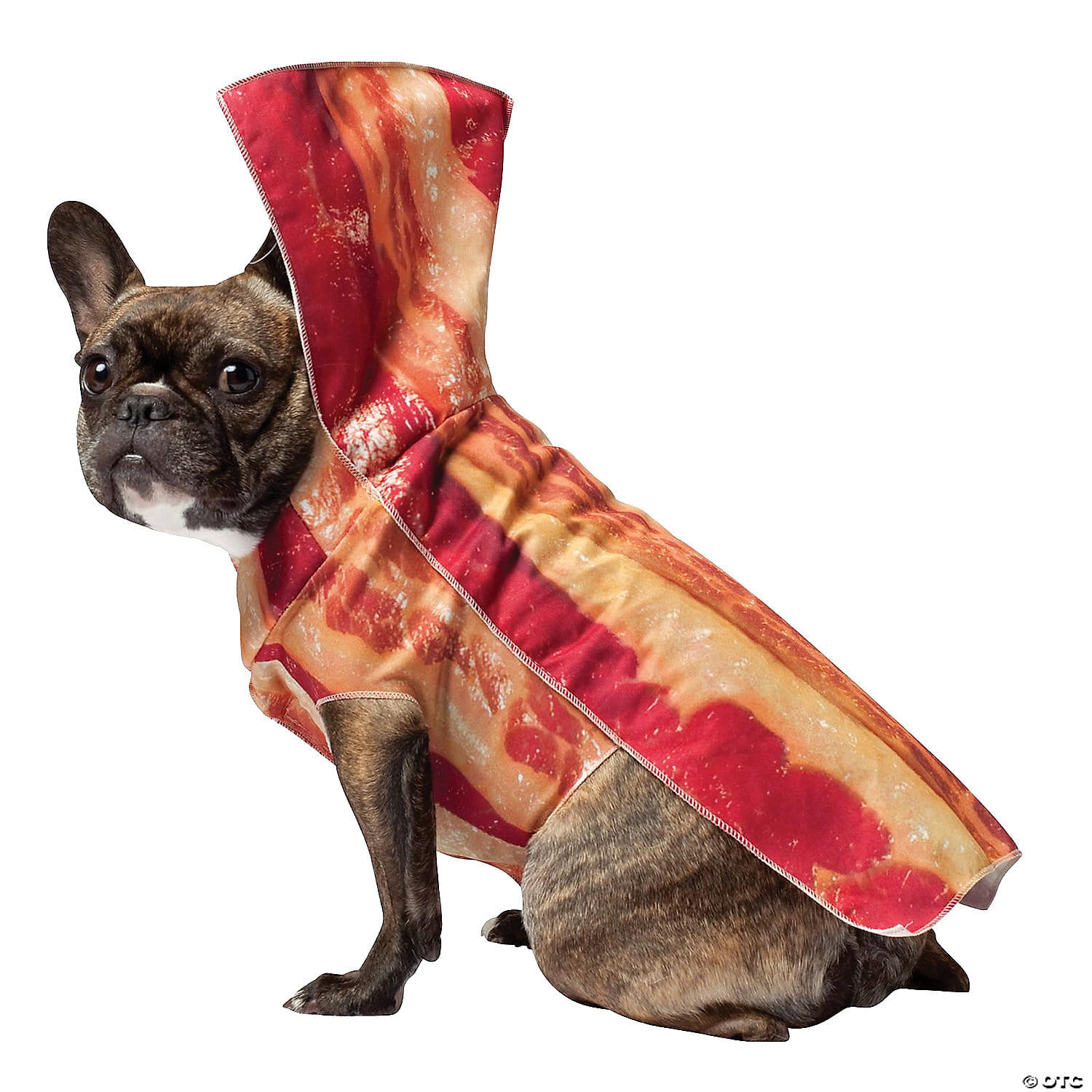 Bacon dog costume md