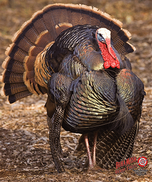 DuraMesh Archery Target Turkey 3 32 in. x 25 in.