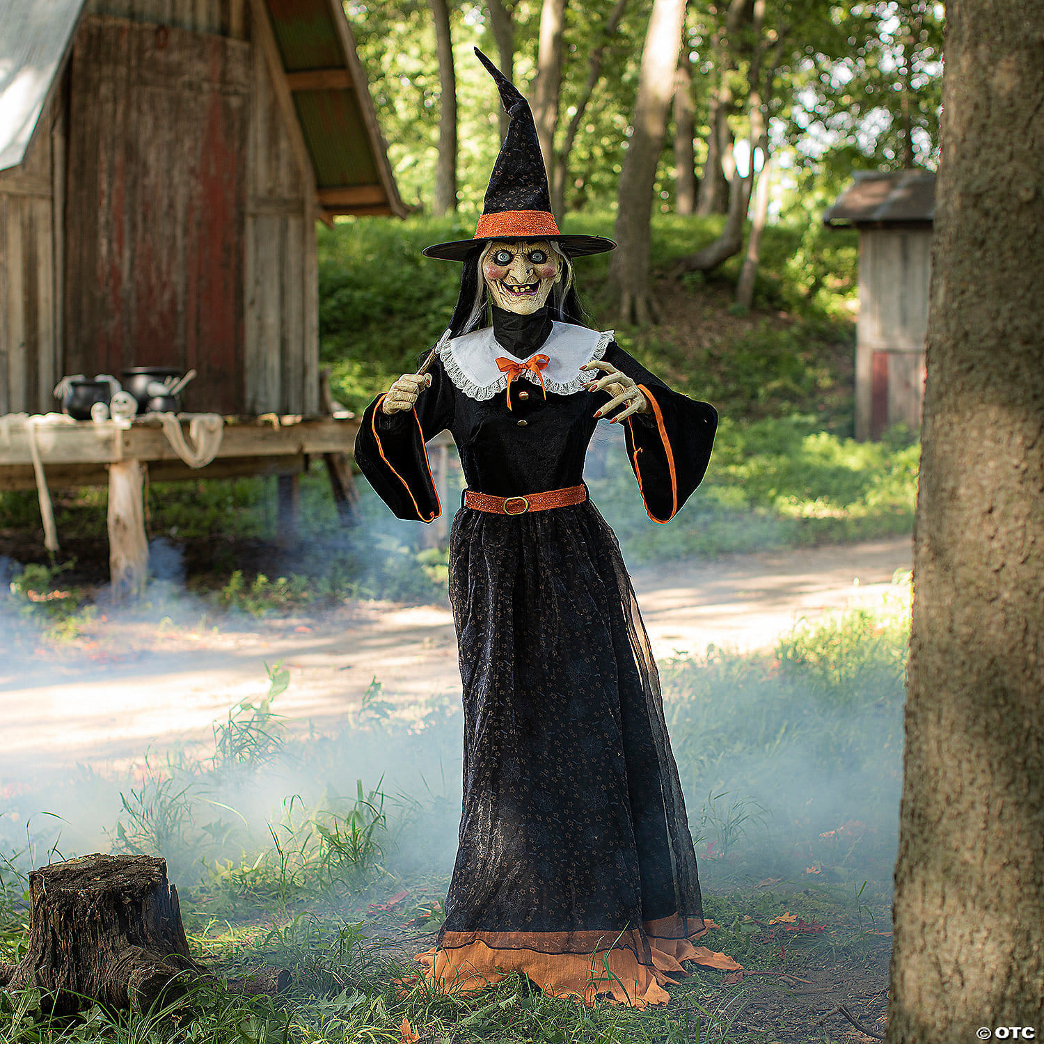 7  Animated Whimsical Witch