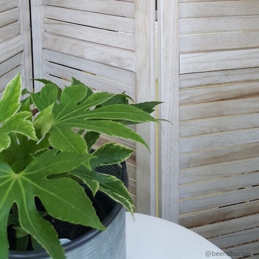 6 Panels Classic Venetian Wooden Slat Room Screen-White - Color: White