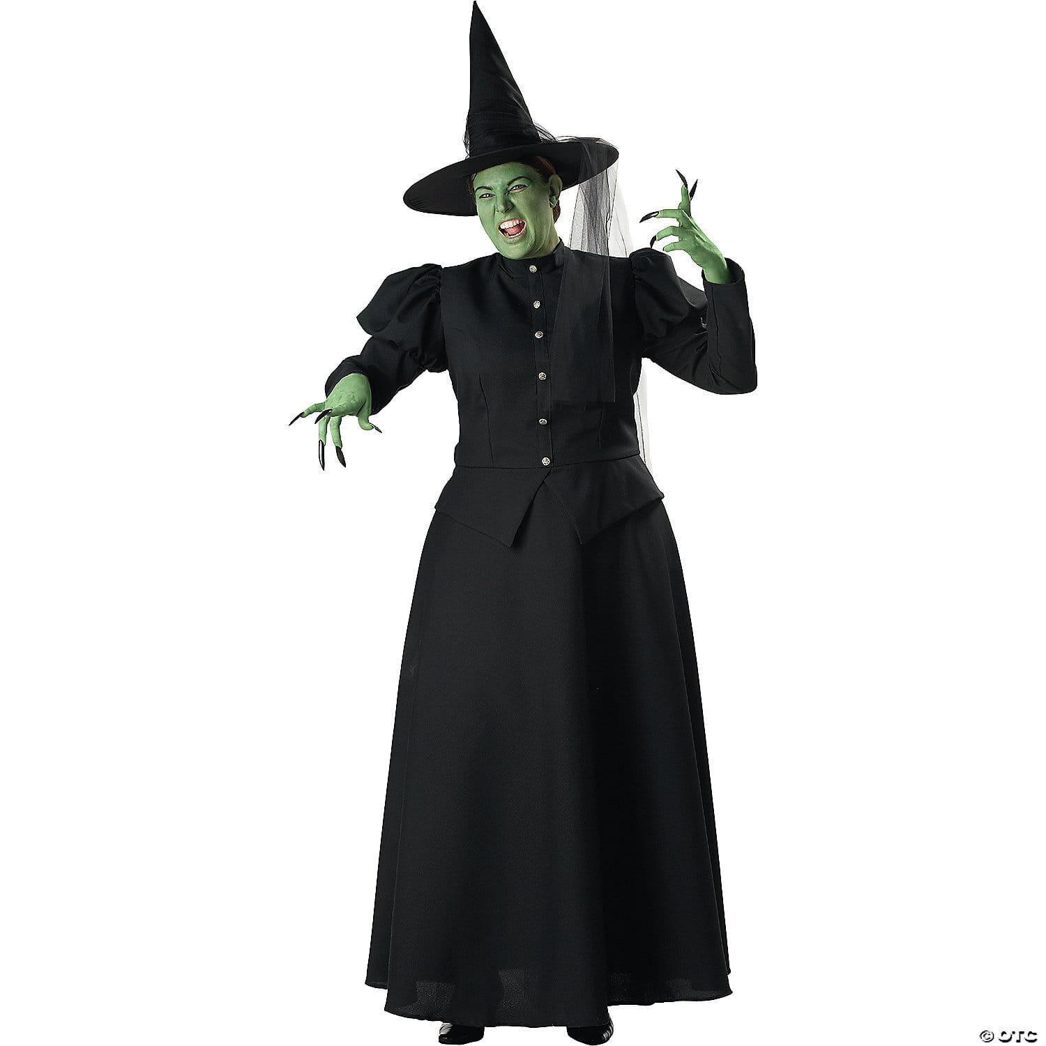 Women's plus size witch costume