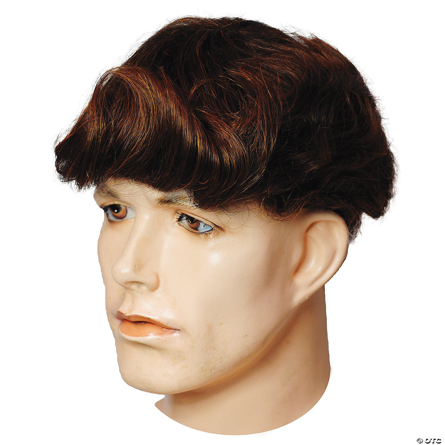 Adult winifred wig
