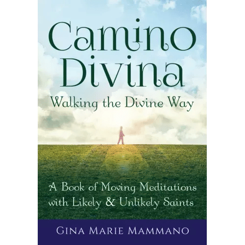 Camino Divina--Walking the Divine Way: A Book of Moving Meditations with Likely and Unlikely Saints - Hardcover