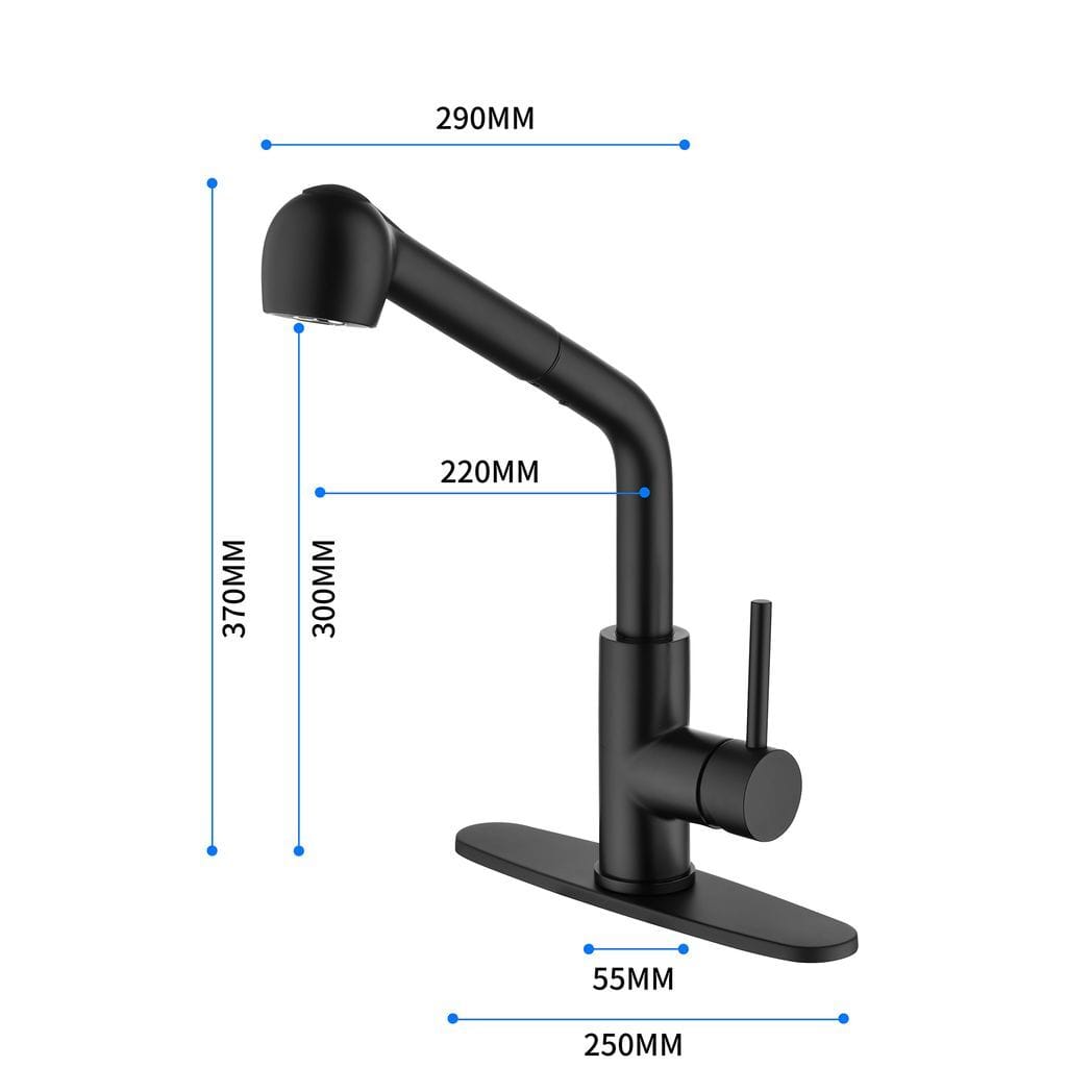 Single-Handle Pull-Out Sprayer Kitchen Faucet in Stainless Matte Black