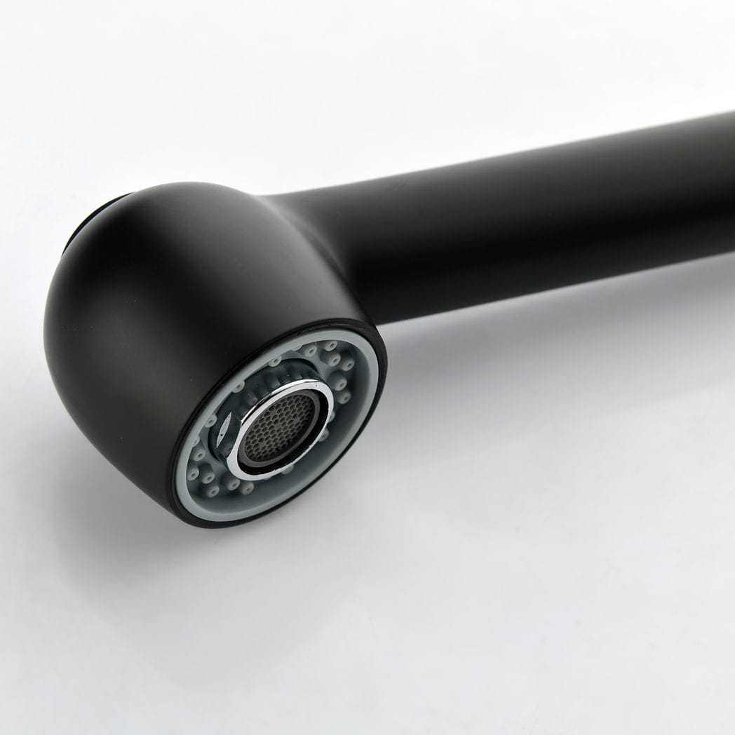 Single-Handle Pull-Out Sprayer Kitchen Faucet in Stainless Matte Black