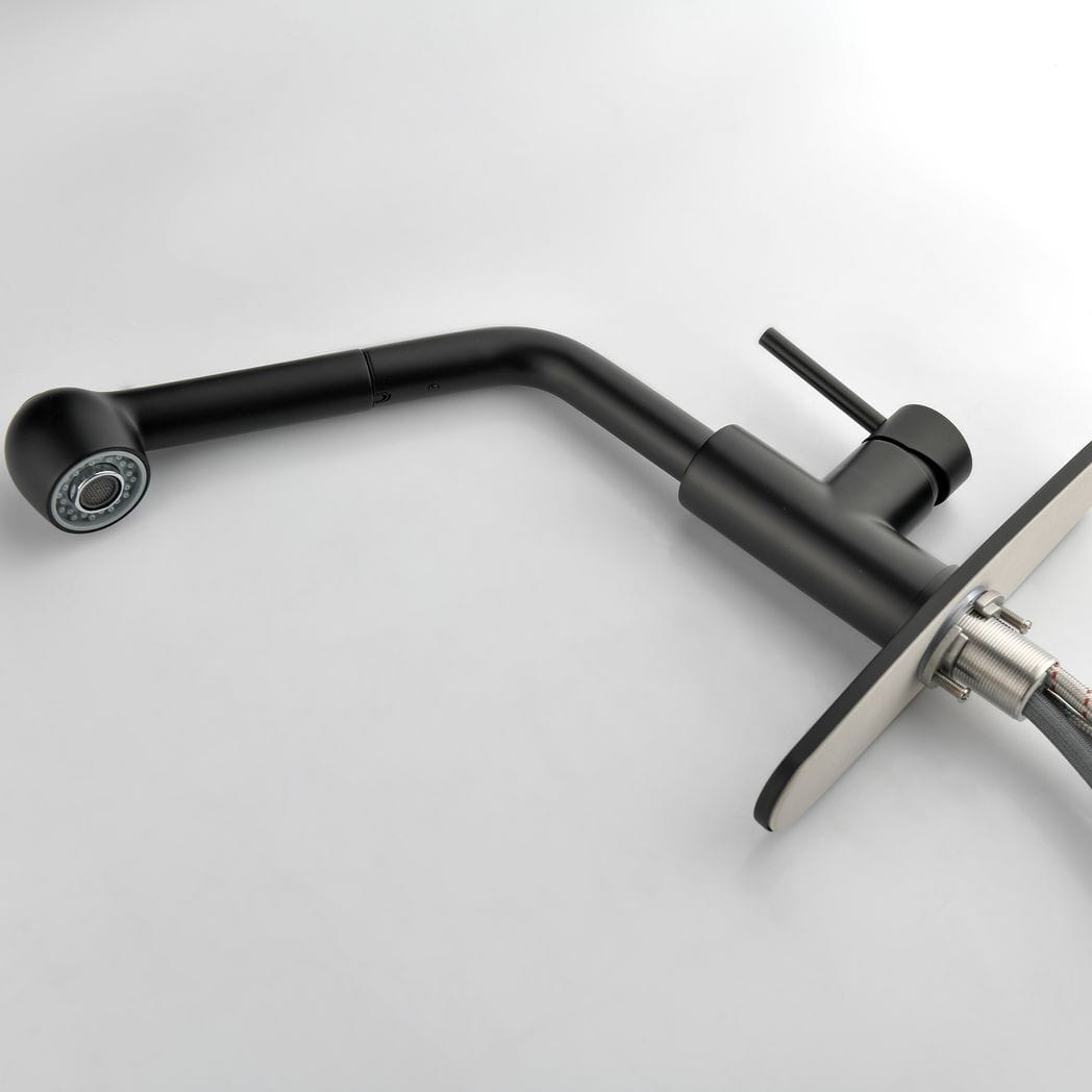 Single-Handle Pull-Out Sprayer Kitchen Faucet in Stainless Matte Black