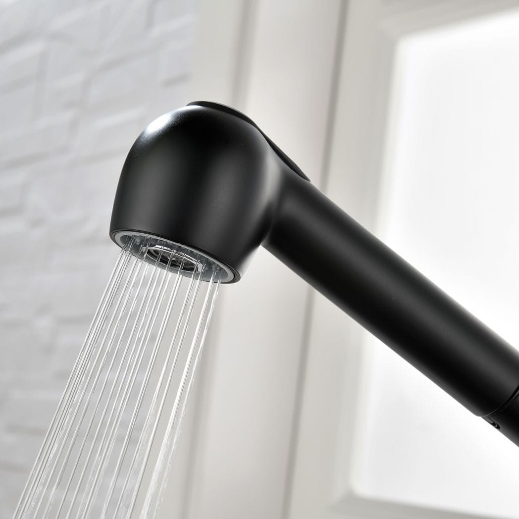Single-Handle Pull-Out Sprayer Kitchen Faucet in Stainless Matte Black