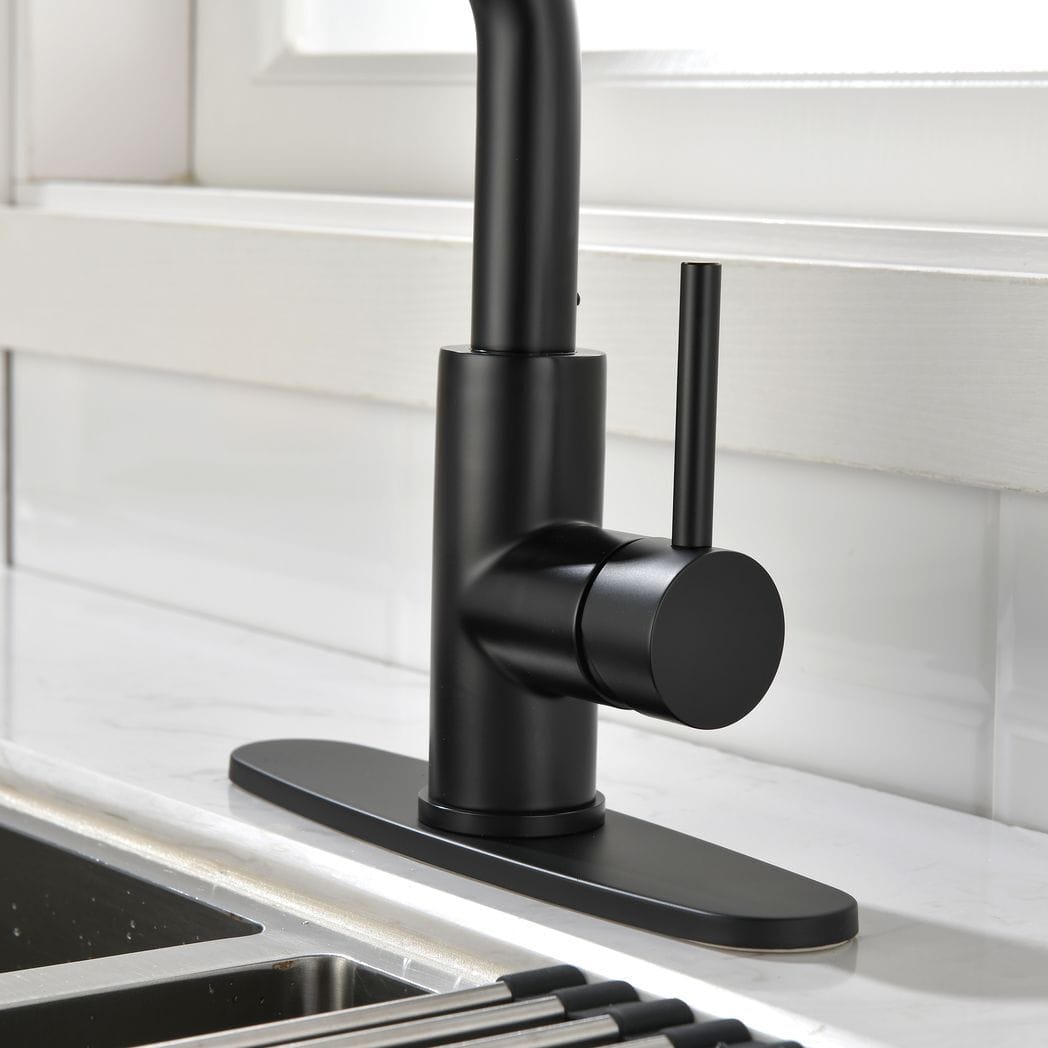 Single-Handle Pull-Out Sprayer Kitchen Faucet in Stainless Matte Black