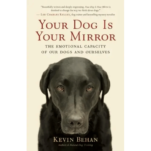 Your Dog Is Your Mirror: The Emotional Capacity of Our Dogs and Ourselves - Paperback