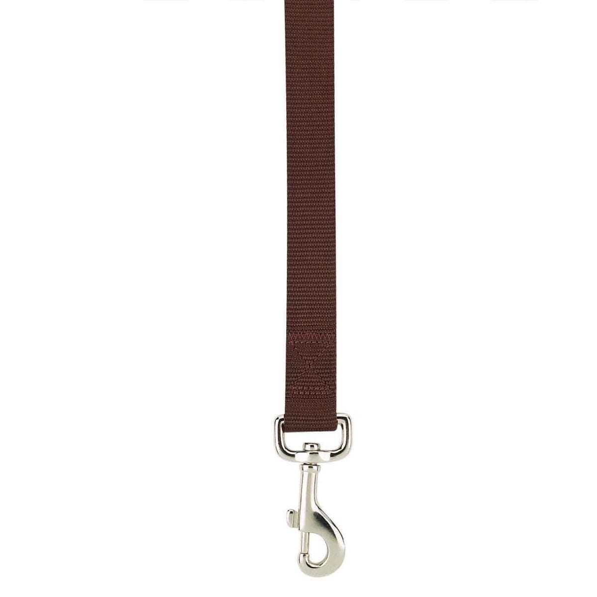Casual Canine Nylon Leash Leads 4 ft x 5/8 in Ultra Violet