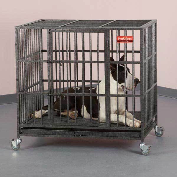 ProSelect Empire Dog Cages L