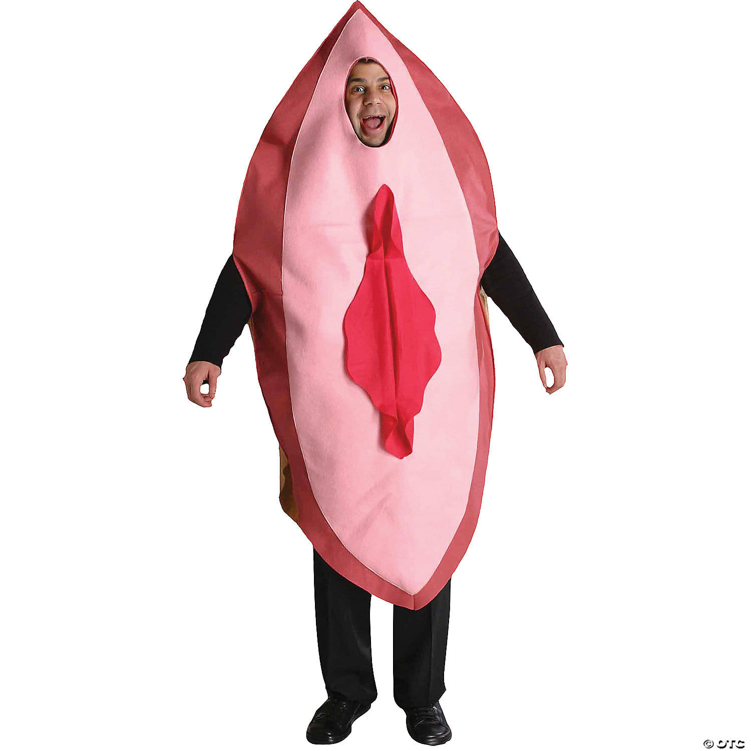 Adult big pink costume