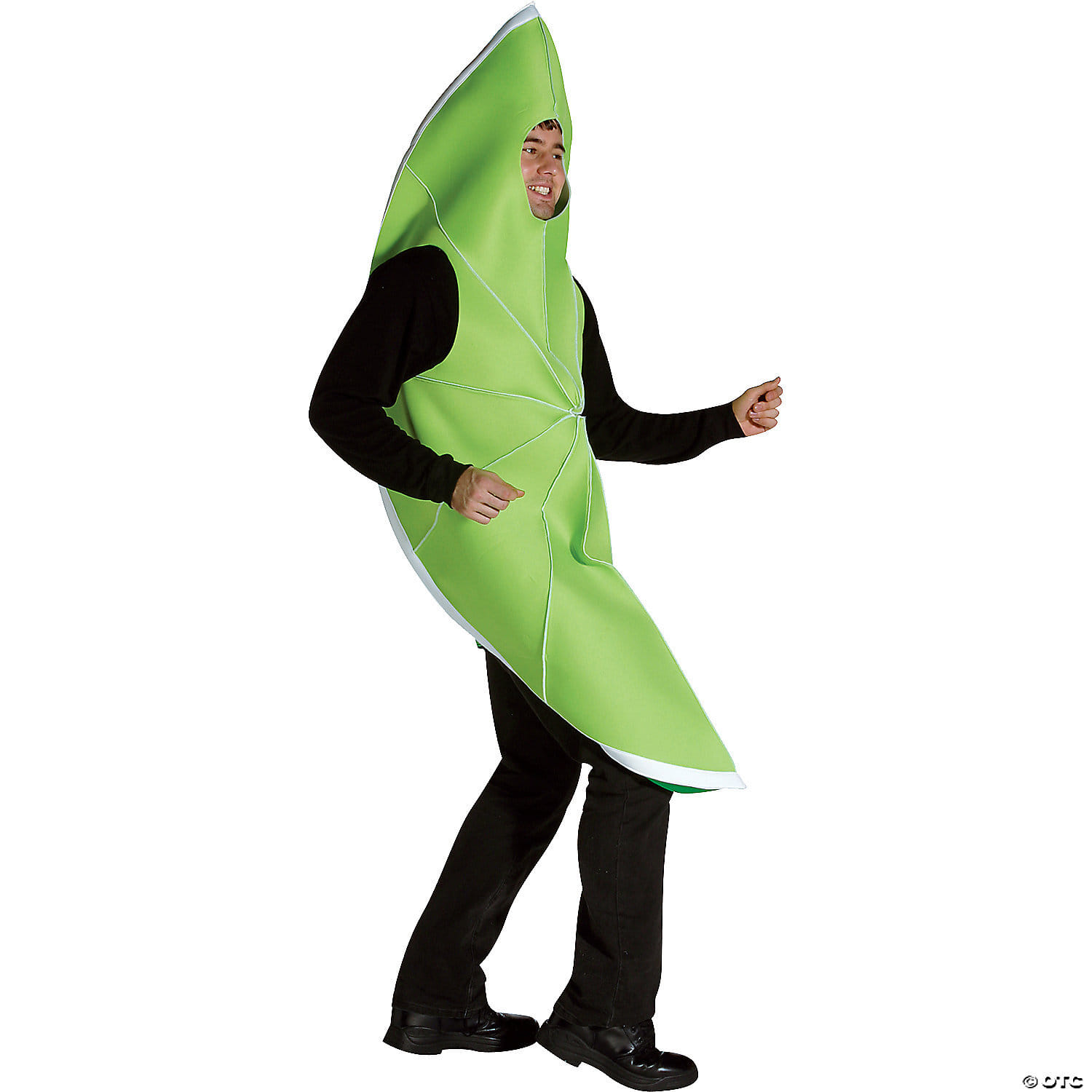 Adult lime costume