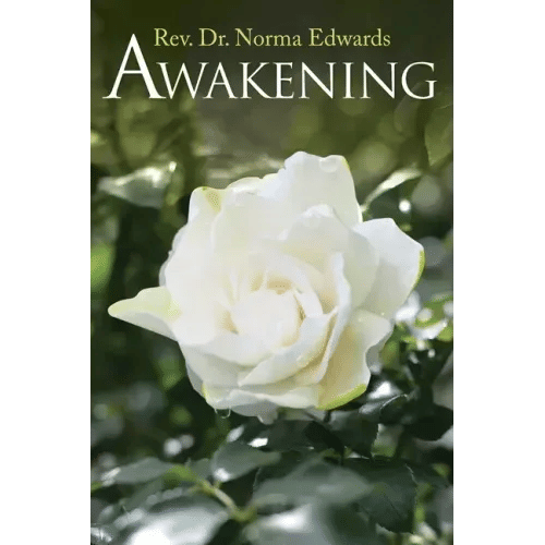 Awakening - Paperback
