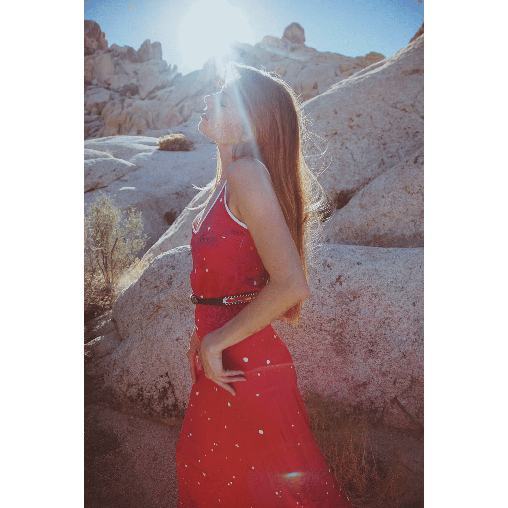 Andromeda Silk Dress - Cosmic Crimson