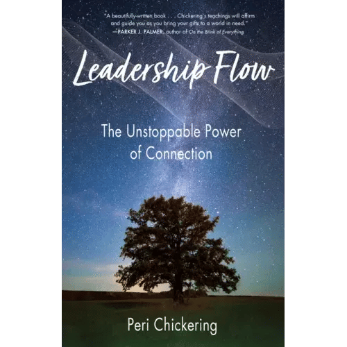 Leadership Flow: The Unstoppable Power of Connection - Paperback