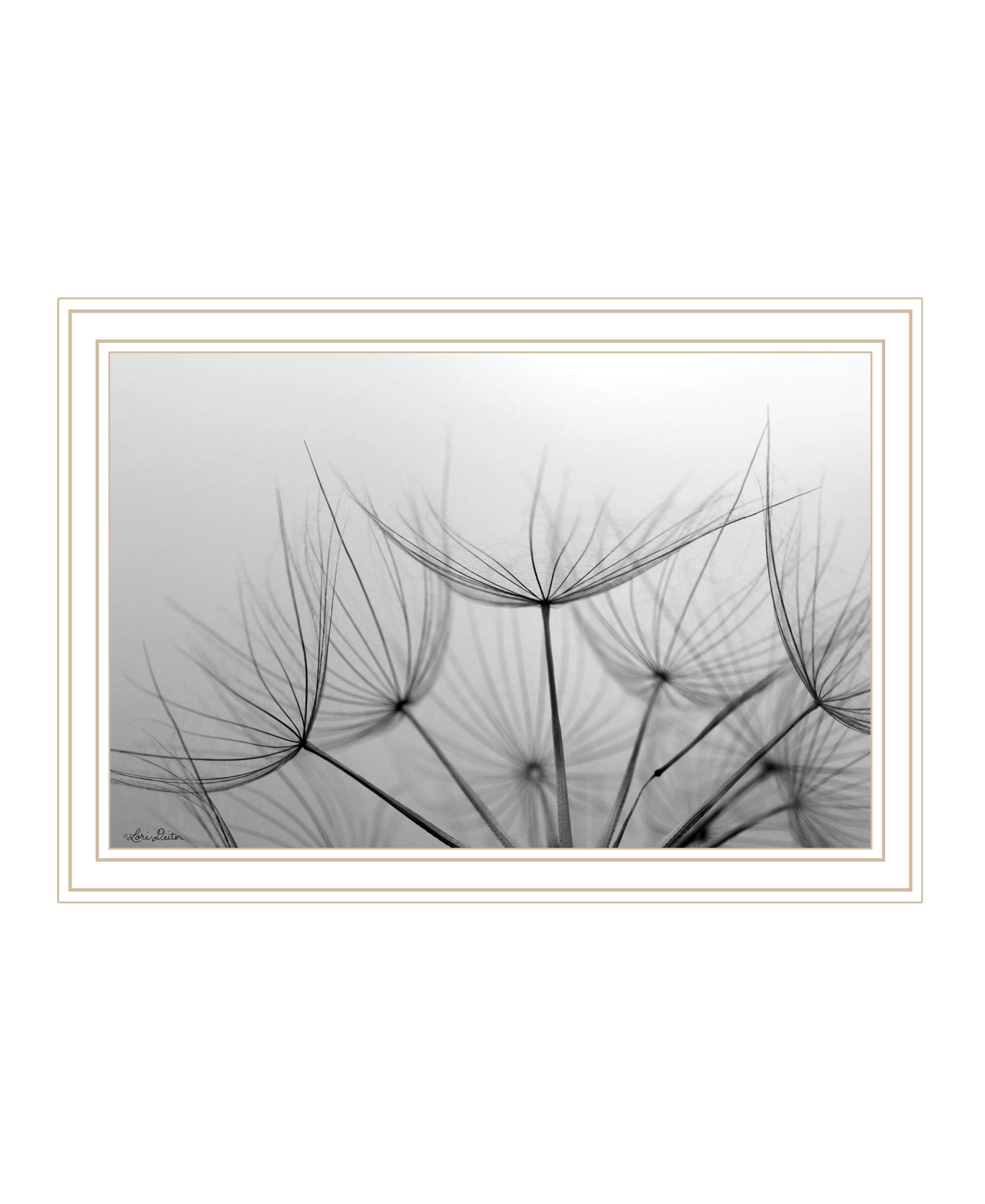 Love is a Delicate Flower White Framed Print Wall Art