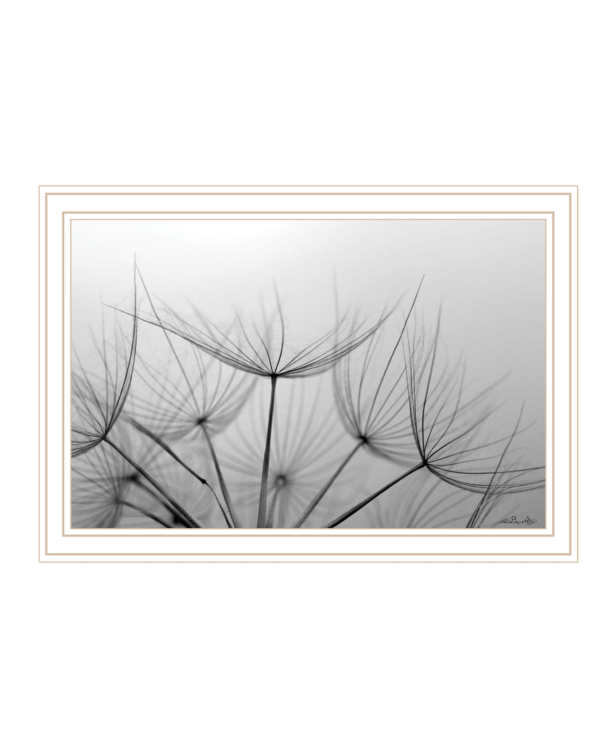 Love is a Delicate Flower White Framed Print Wall Art