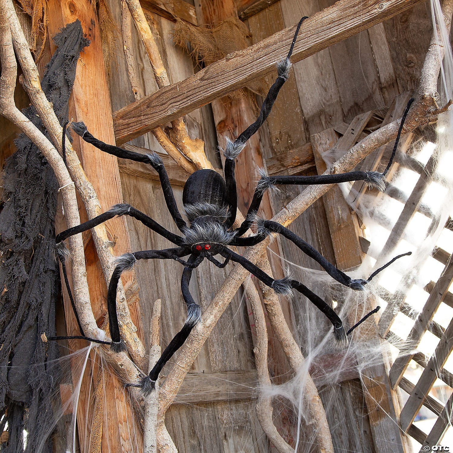 4.5 ft spider