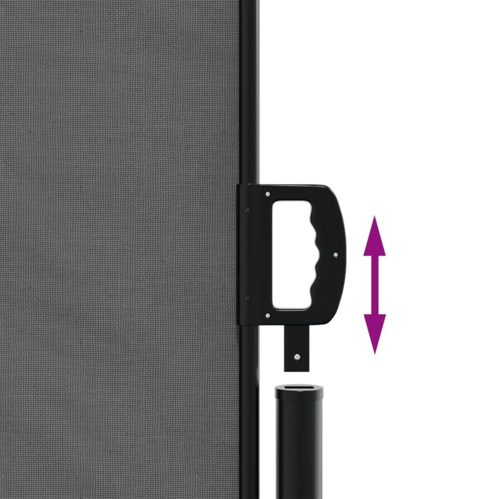 Retractable Side Awning Anthracite 78.7x118.1"