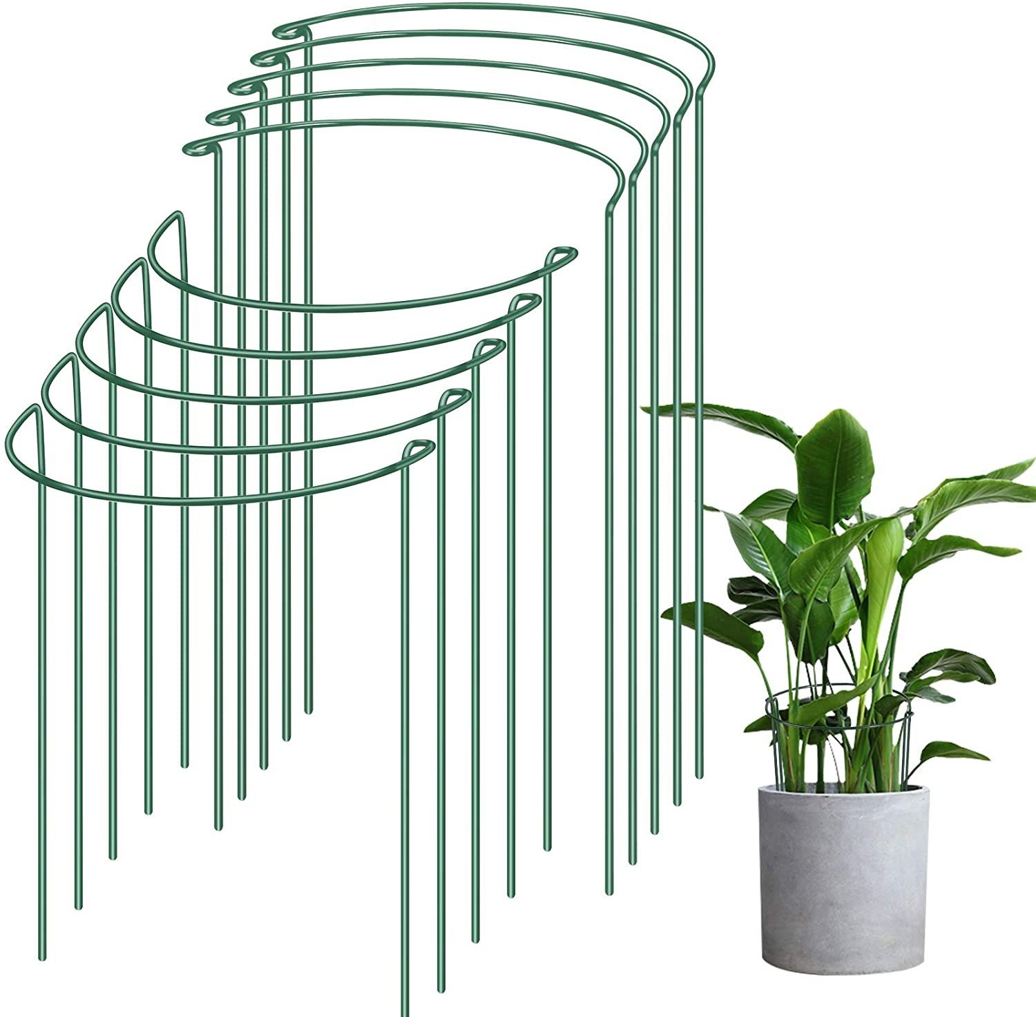 Metal Plant Supports NZ
