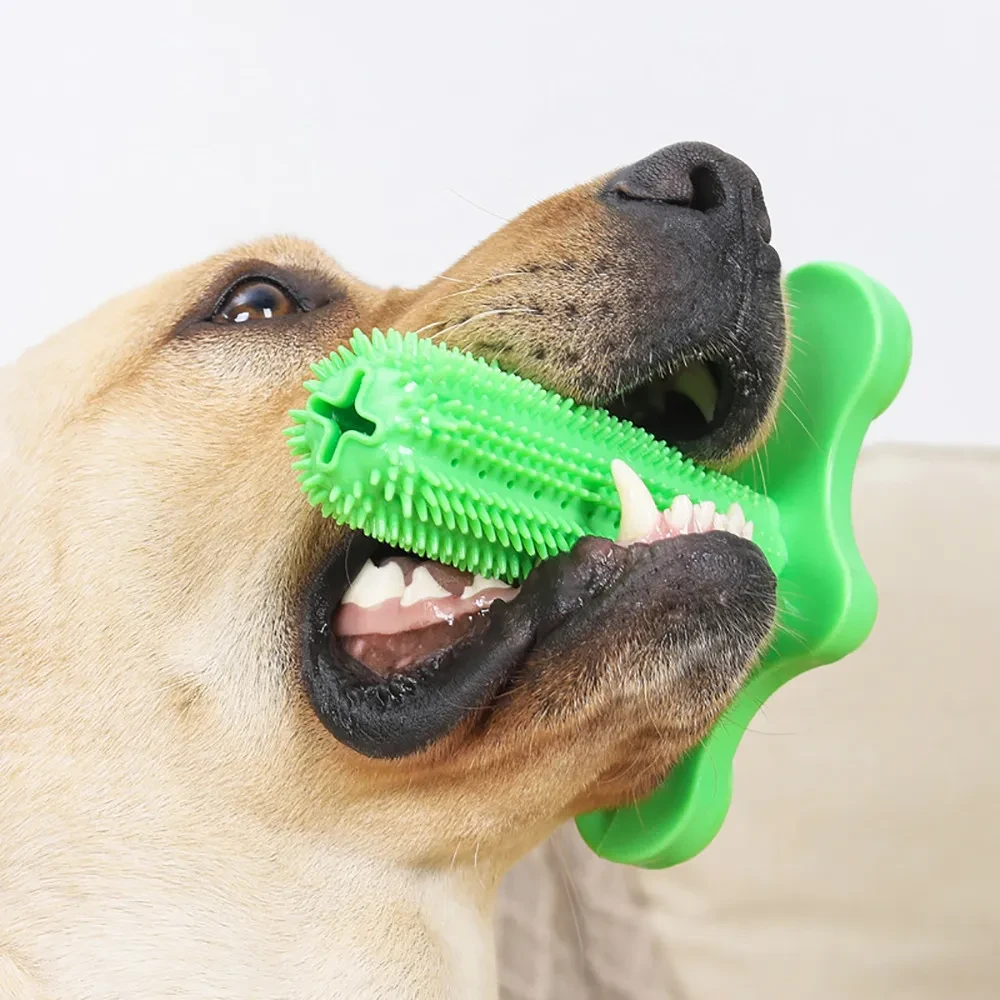 Dog Toy Toothbrush