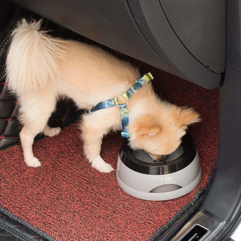 Dog Drinking Water Bowl