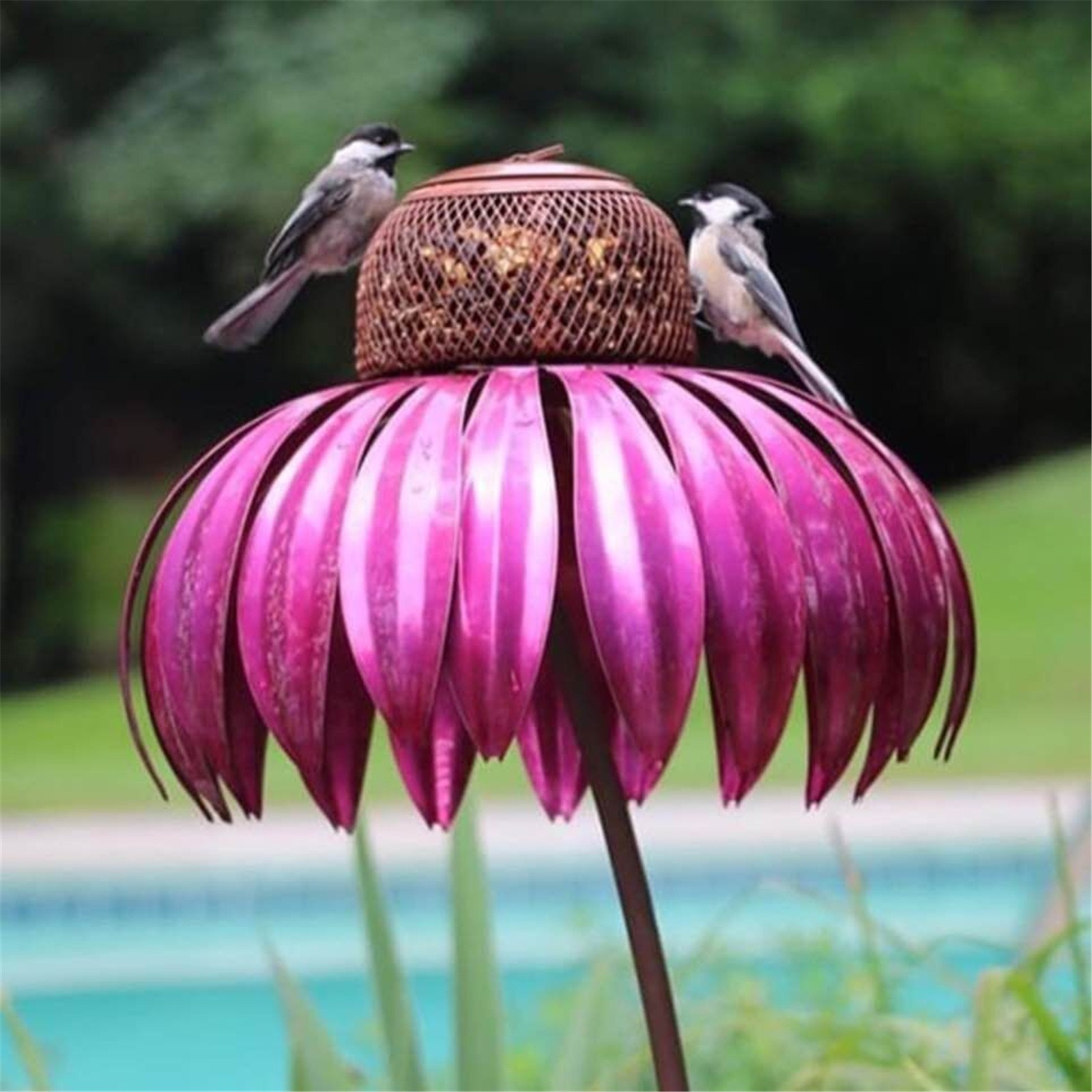 Garden Bird Feeder Petals Shape Sensation Coneflower Bird Feeder
