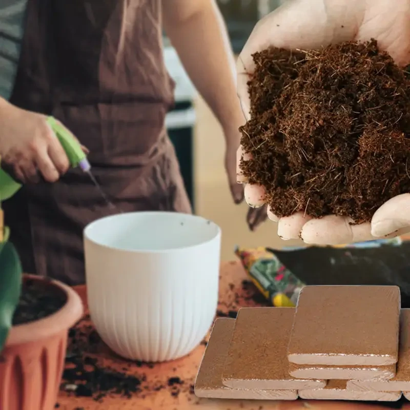 Coconut Coir for Plants