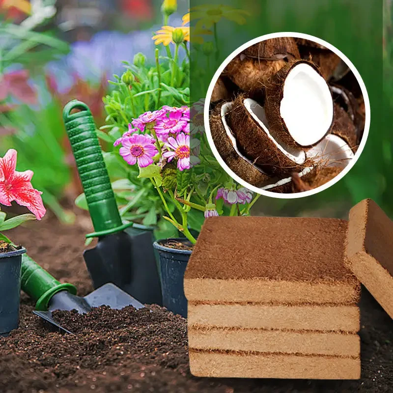 Coconut Coir for Plants