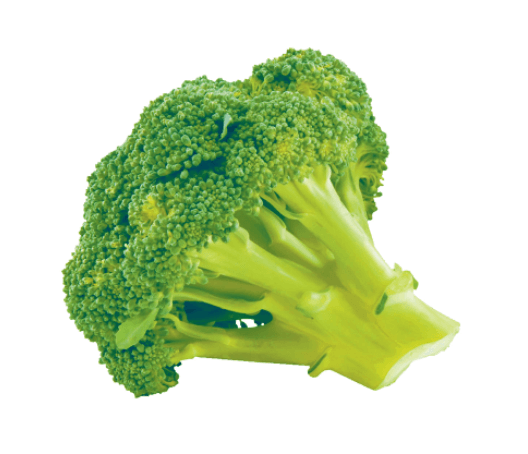 Broccoli ea