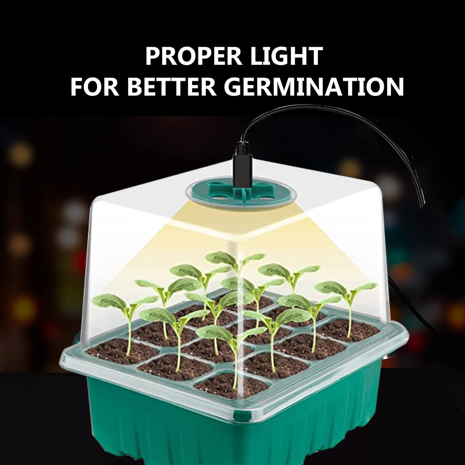 Seed Starter Trays With Grow Light