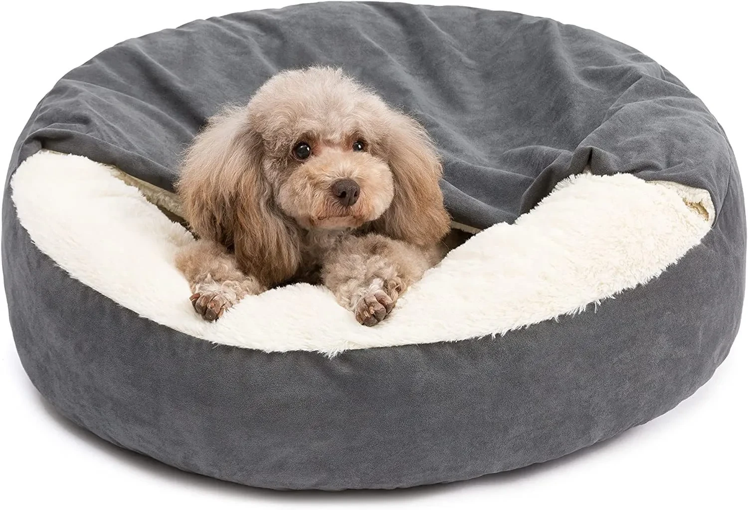 Pet Bean Bag NZ