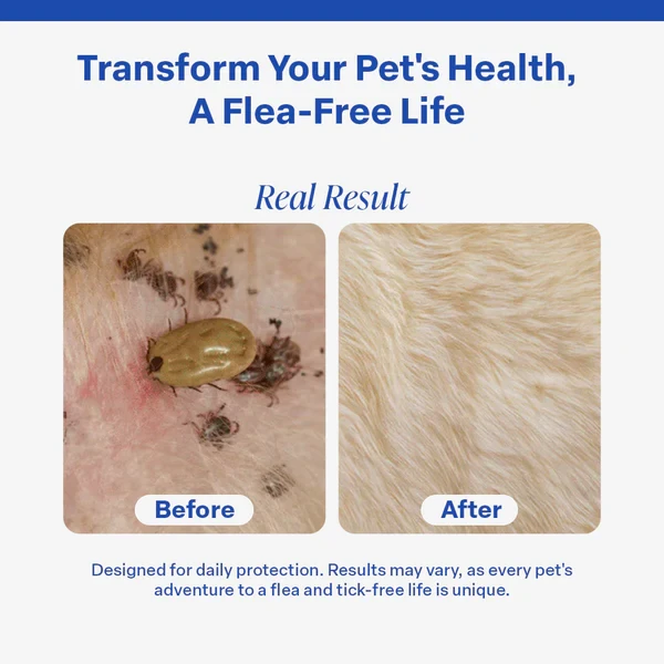 Dr Paws™ 8 Months Flea and Tick Free Cats