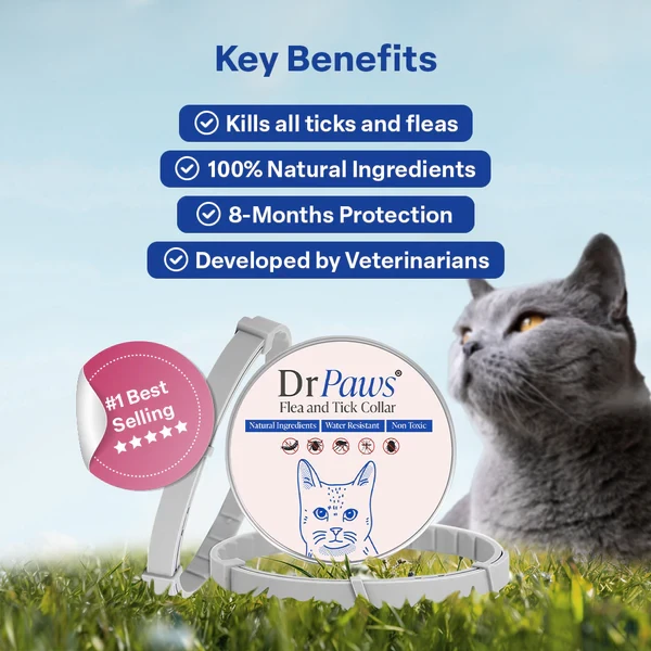 Dr Paws™ 8 Months Flea and Tick Free Cats