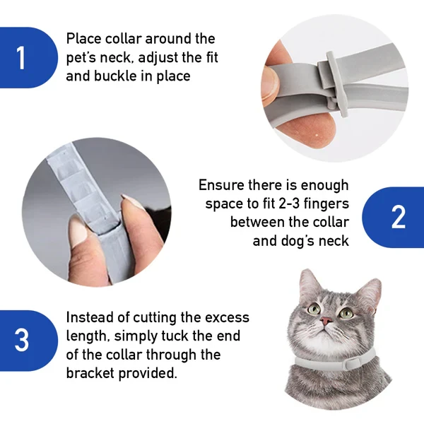 Dr Paws™ 8 Months Flea and Tick Free Cats