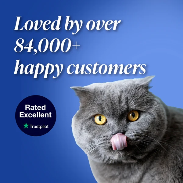 Dr Paws™ 8 Months Flea and Tick Free Cats