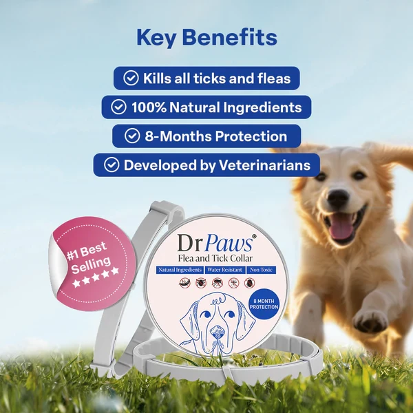 DrPaws® 8 Months Flea and Tick Free Collar Dogs