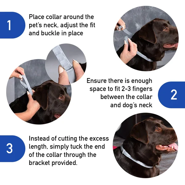 DrPaws® 8 Months Flea and Tick Free Collar Dogs