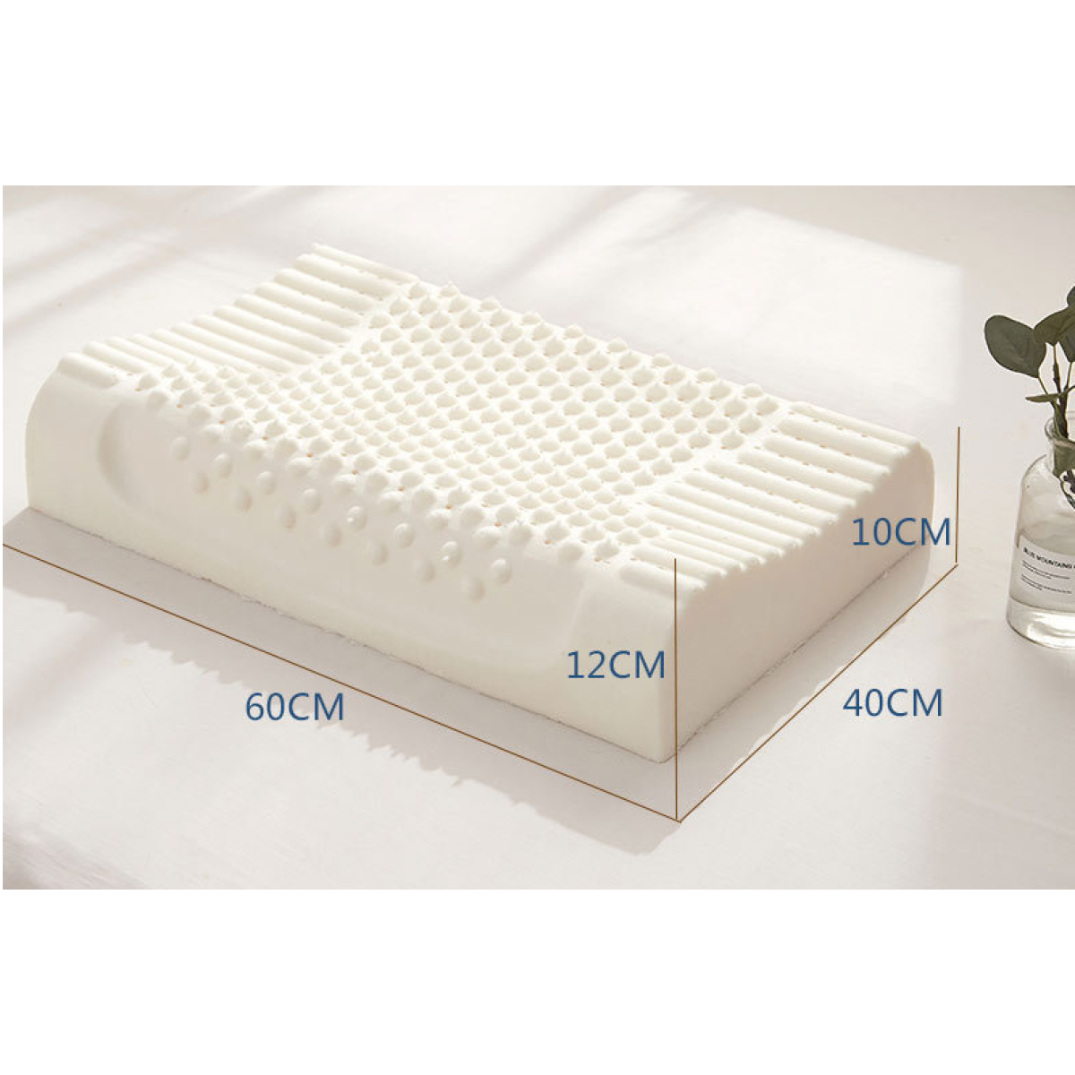 Organic Latex Pillow
