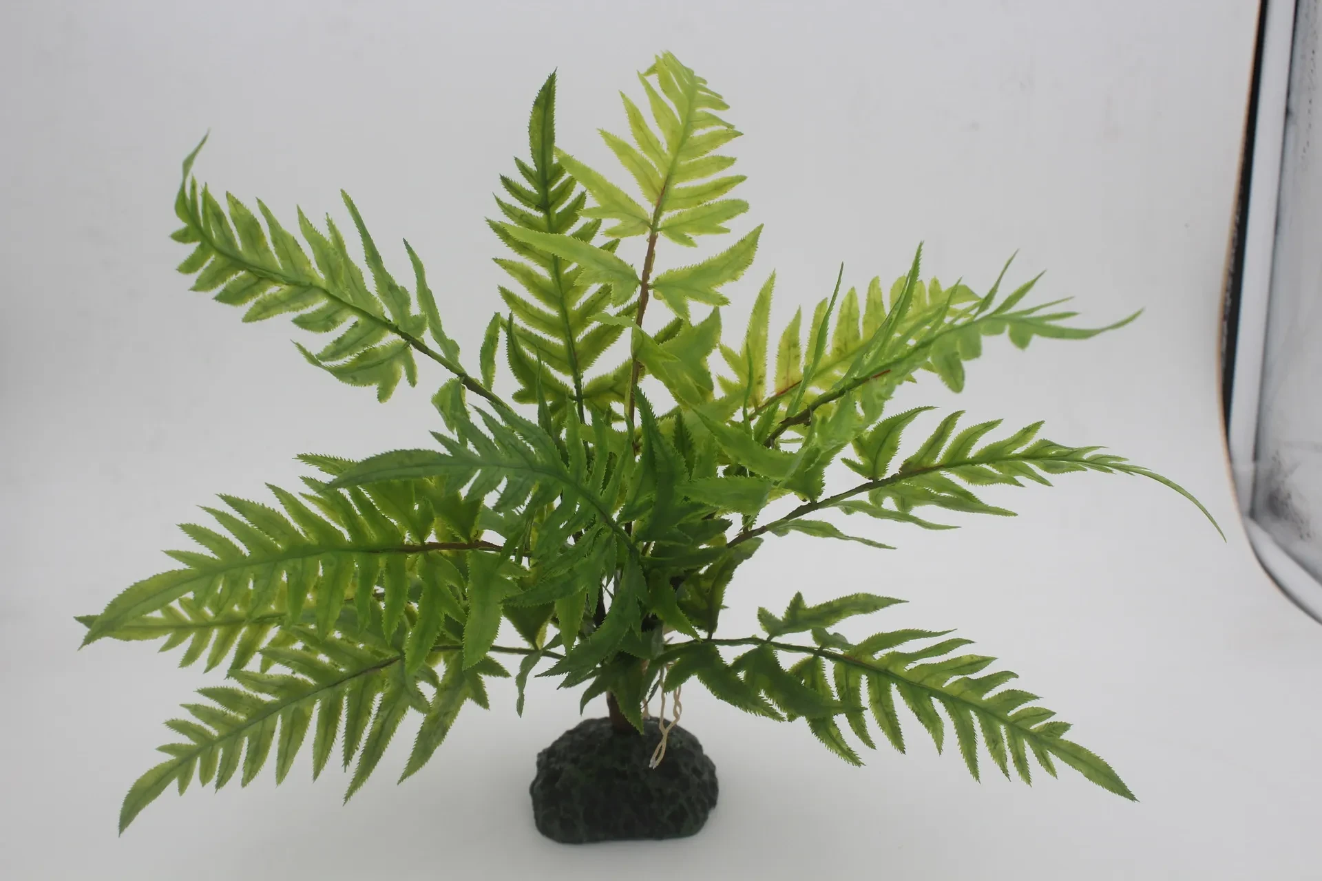Artificial Ferns NZ