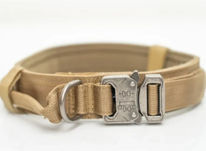 Wide Dog Collars NZ