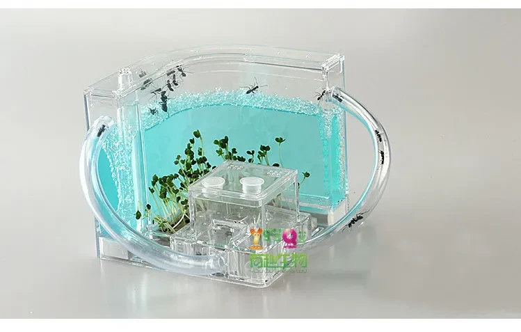 Ant Workshop Toys